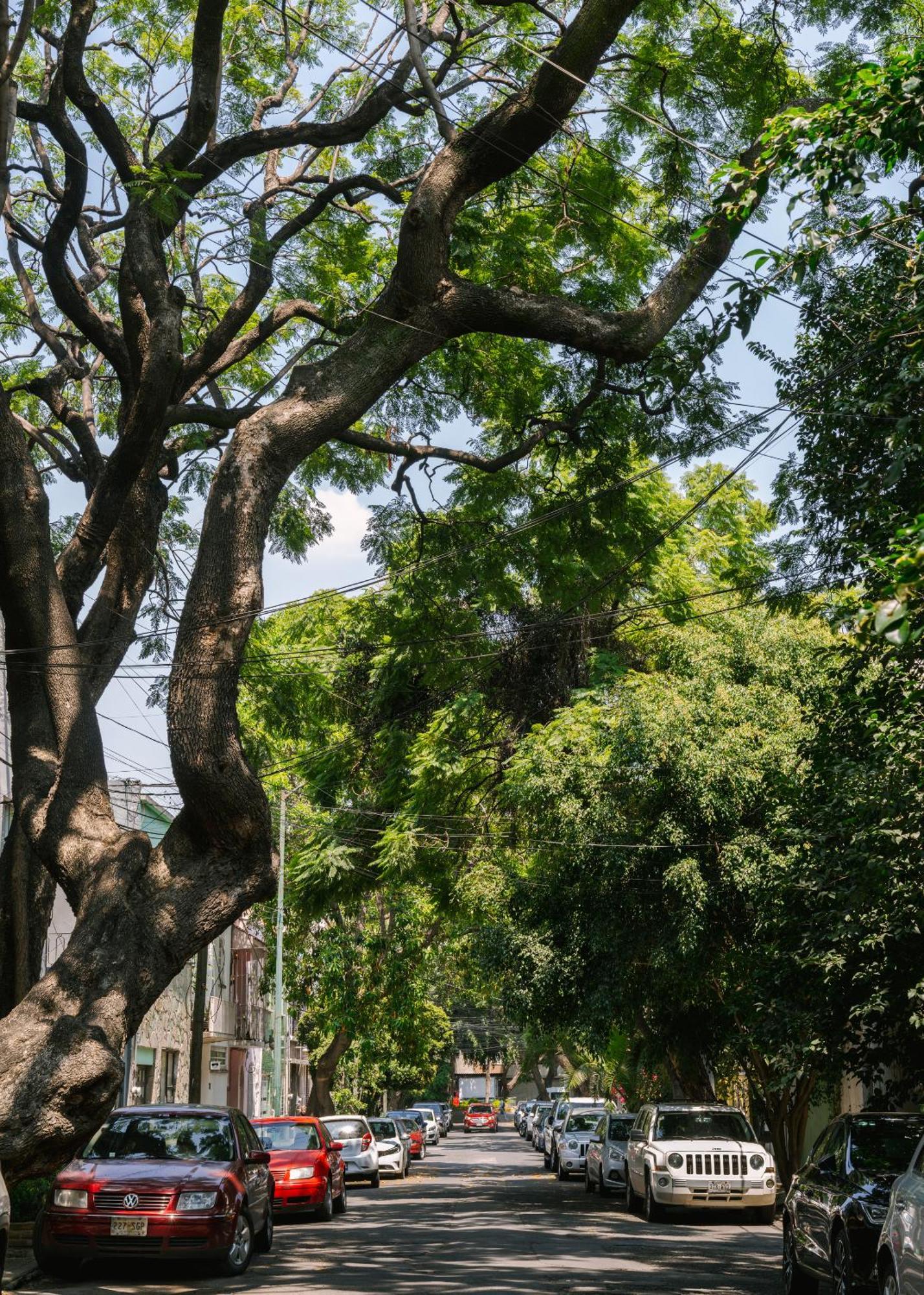 Sonder Miravalle Мехіко Екстер'єр фото